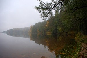 Uljaste_järv_udus